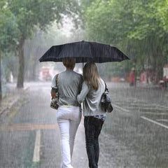 Windproof Coated Travel Umbrella Auto Open Close Stylish Lightweight