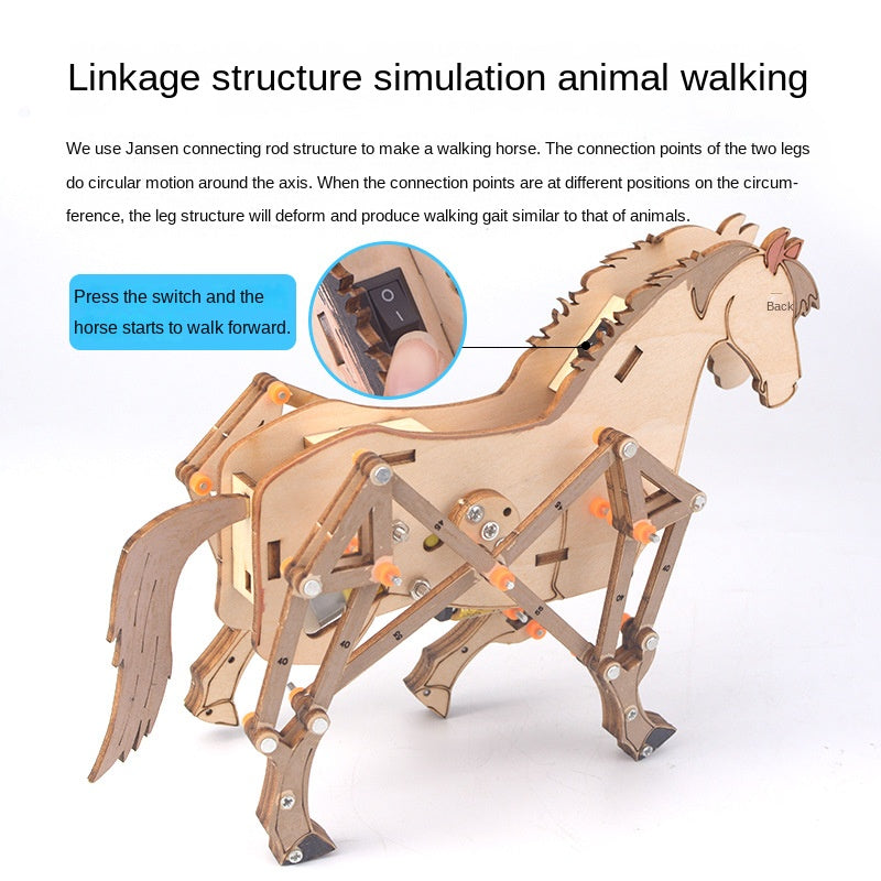 DIY Mechanical Horse Physics Science Kit