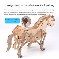 DIY Mechanical Horse Physics Science Kit