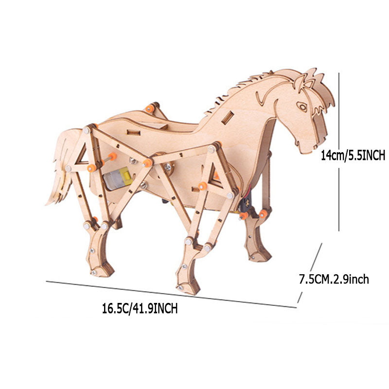 DIY Mechanical Horse Physics Science Kit