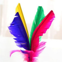 Chicken Feather Shuttlecock for Sports Competitions