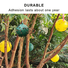 1pc Pumpkin Sticky Fly Trap Ball - Outdoor Pest Control