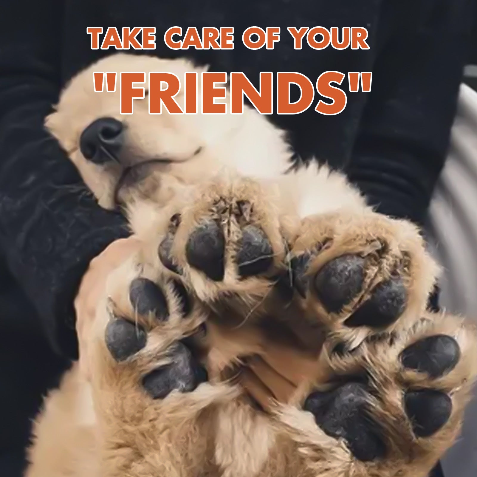 Natural Pet Paw Balm for Cats & Dogs
