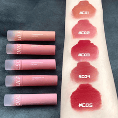 Waterproof Matte Lip Gloss Velvet Lip Mud Nude Chocolate Red Lip Tint