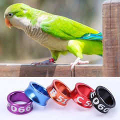 10PCS Bird Parrots Foot Rings for Outdoor Training