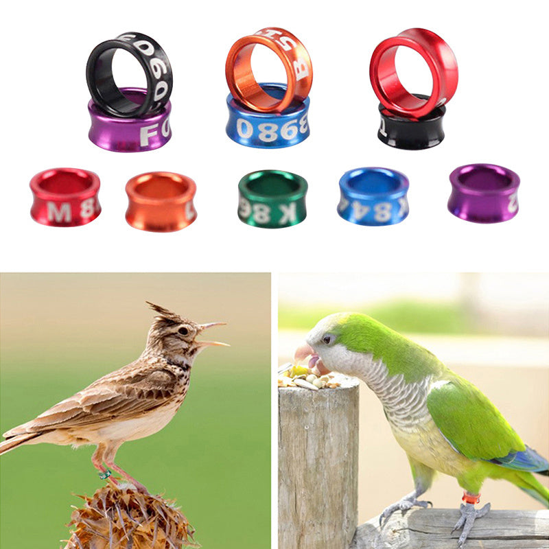 10PCS Bird Parrots Foot Rings for Outdoor Training