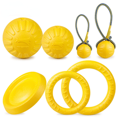 Durable Dog Chew Toy with Rope for Interactive Play and Training