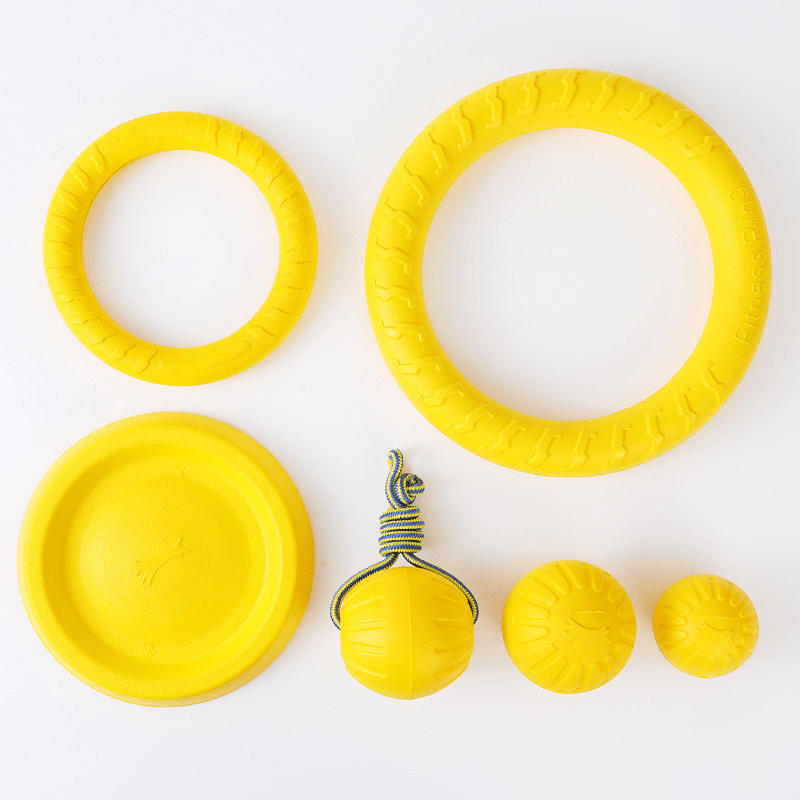 Durable Dog Chew Toy with Rope for Interactive Play and Training