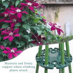 Plant Support & Protection Kit for Outdoor Gardening