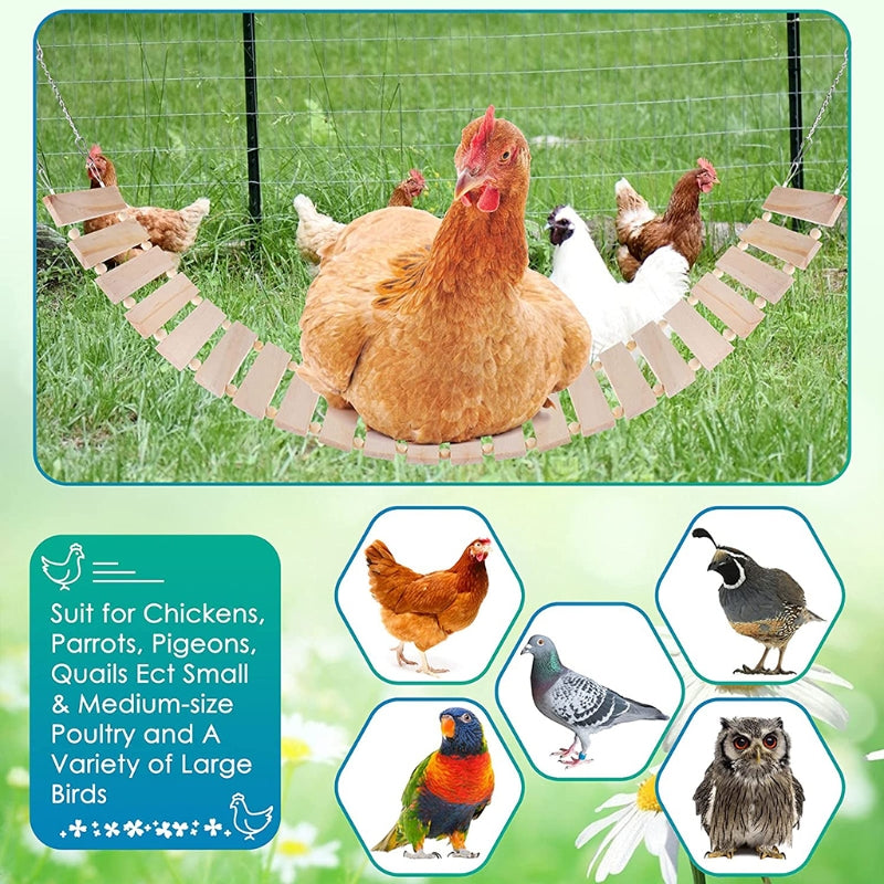 Chicken Swing and Perch Toy for Coops Chickens Birds Parrots