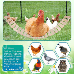 Chicken Swing and Perch Toy for Coops Chickens Birds Parrots