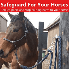 Safe Horse Tie Ring w/ Quick Release & Eye Bolt, Prevents Pulling Back