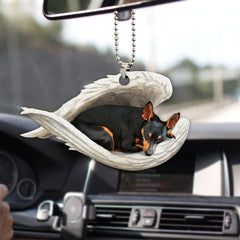 Angel Wings Pet Memorial Car Accessory - Dog Lover's Ornament