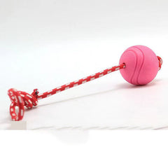 Durable Dog Ball Toy for Teeth Grinding and Interactive Play