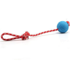 Durable Dog Ball Toy for Teeth Grinding and Interactive Play