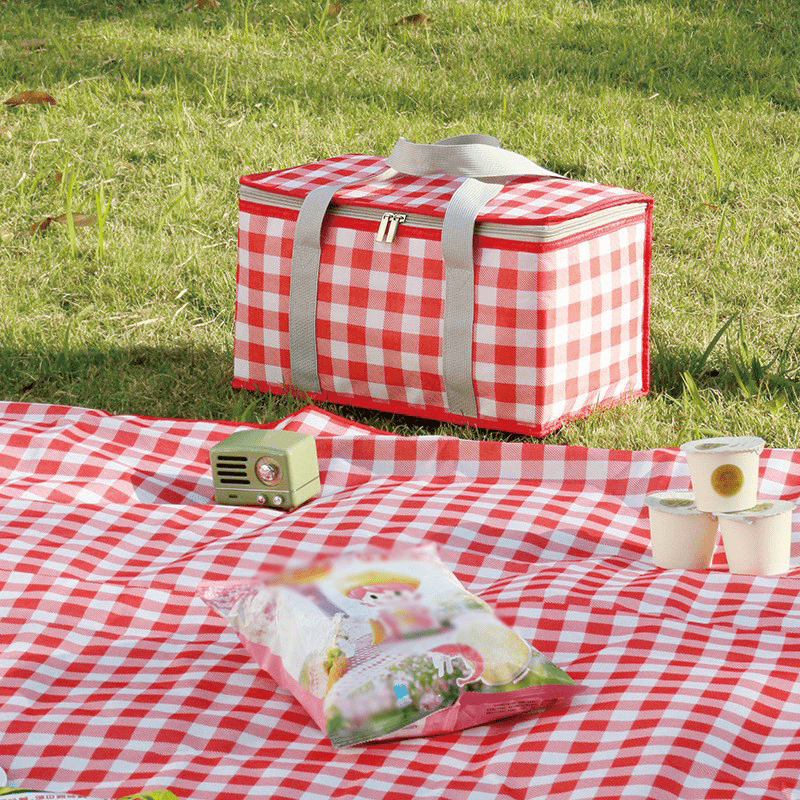 Portable Plaid Picnic Basket With 2 Ice Pack Insulated Cooler Box Picnic Bag