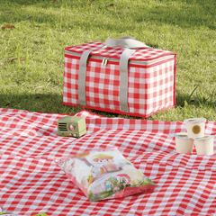 Portable Plaid Picnic Basket With 2 Ice Pack Insulated Cooler Box Picnic Bag