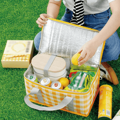 Portable Plaid Picnic Basket With 2 Ice Pack Insulated Cooler Box Picnic Bag