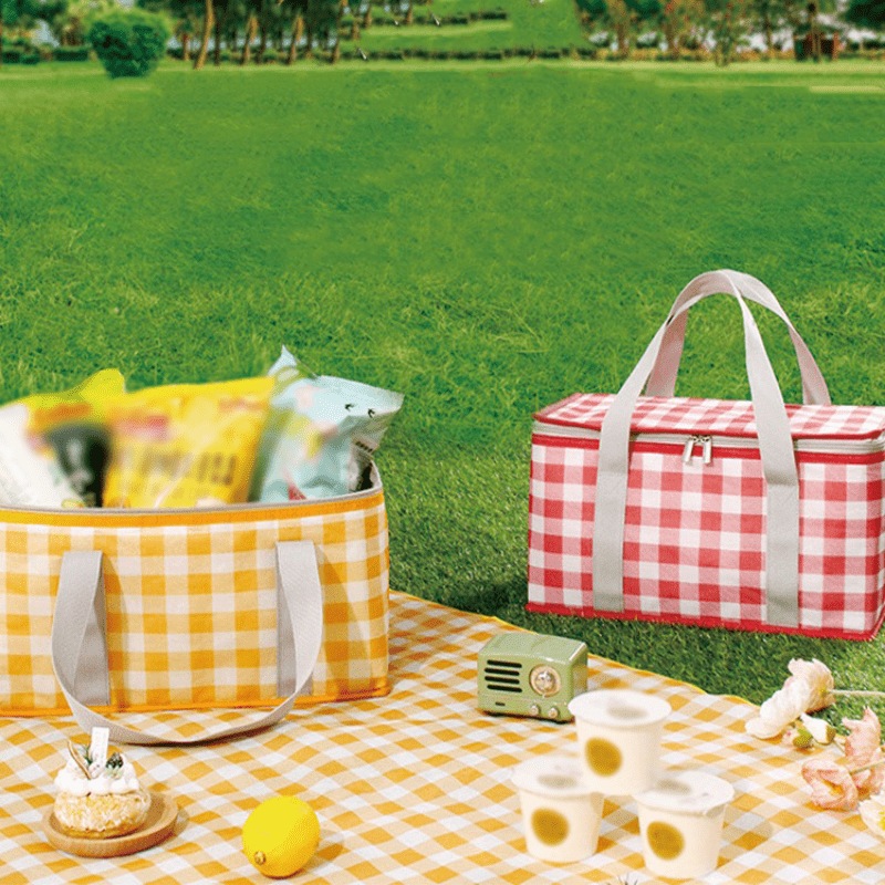 Portable Plaid Picnic Basket With 2 Ice Pack Insulated Cooler Box Picnic Bag