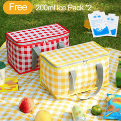 Portable Plaid Picnic Basket With 2 Ice Pack Insulated Cooler Box Picnic Bag