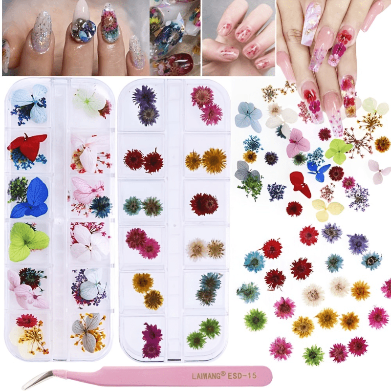Natural Dried Flowers - Assorted Mix for Crafts and Decor