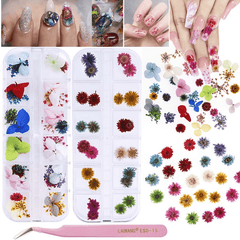 Natural Dried Flowers - Assorted Mix for Crafts and Decor