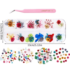 Natural Dried Flowers - Assorted Mix for Crafts and Decor