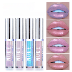 Velvet Finish Purple Matte Lipstick