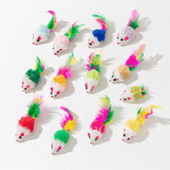 10-20pcs Interactive Cat Toys Exercise Indoor Kitten Playing Chewing