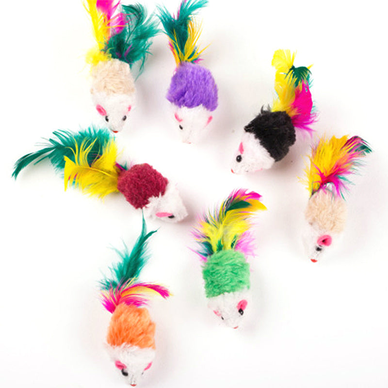 10-20pcs Interactive Cat Toys Exercise Indoor Kitten Playing Chewing