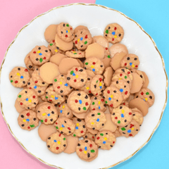 10pcs Realistic Food Earrings - Rainbow & Chocolate Chip Cookies