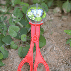Bug Insect Catcher Scissors Tongs Tweezers Scooper Clamp Kids Toy