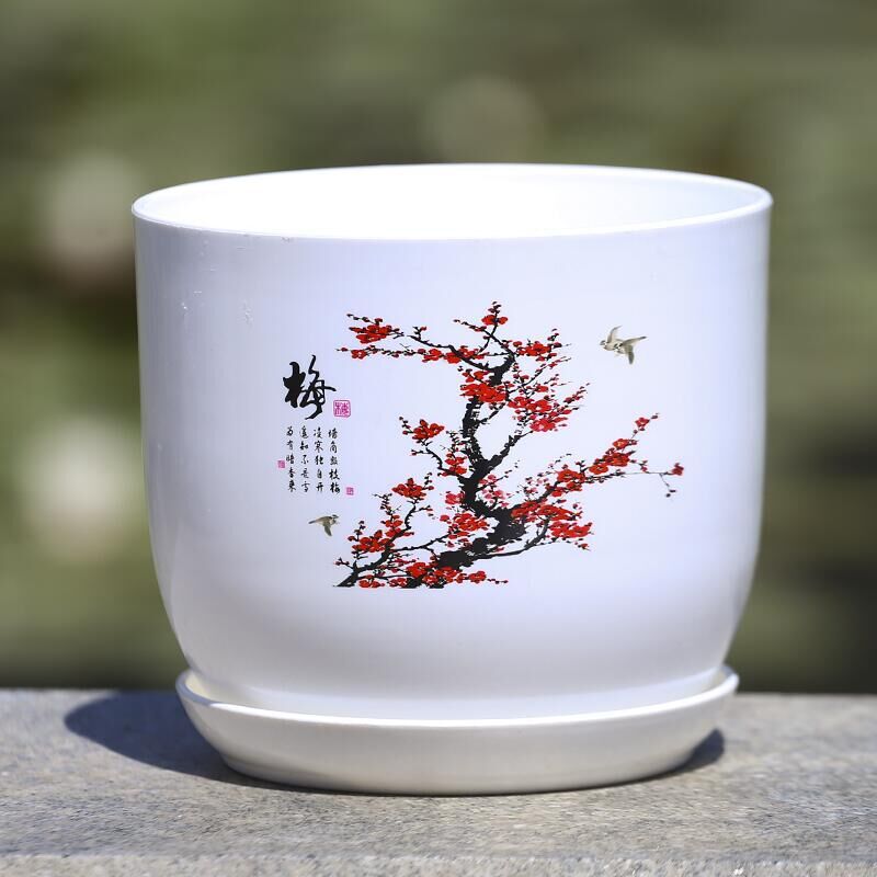 PP Resin Indoor Flower Pot Ideal For Succulents & Clivia