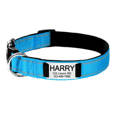 Customized Dog Collar with Engraved Nameplate - Personalized Pet Collars