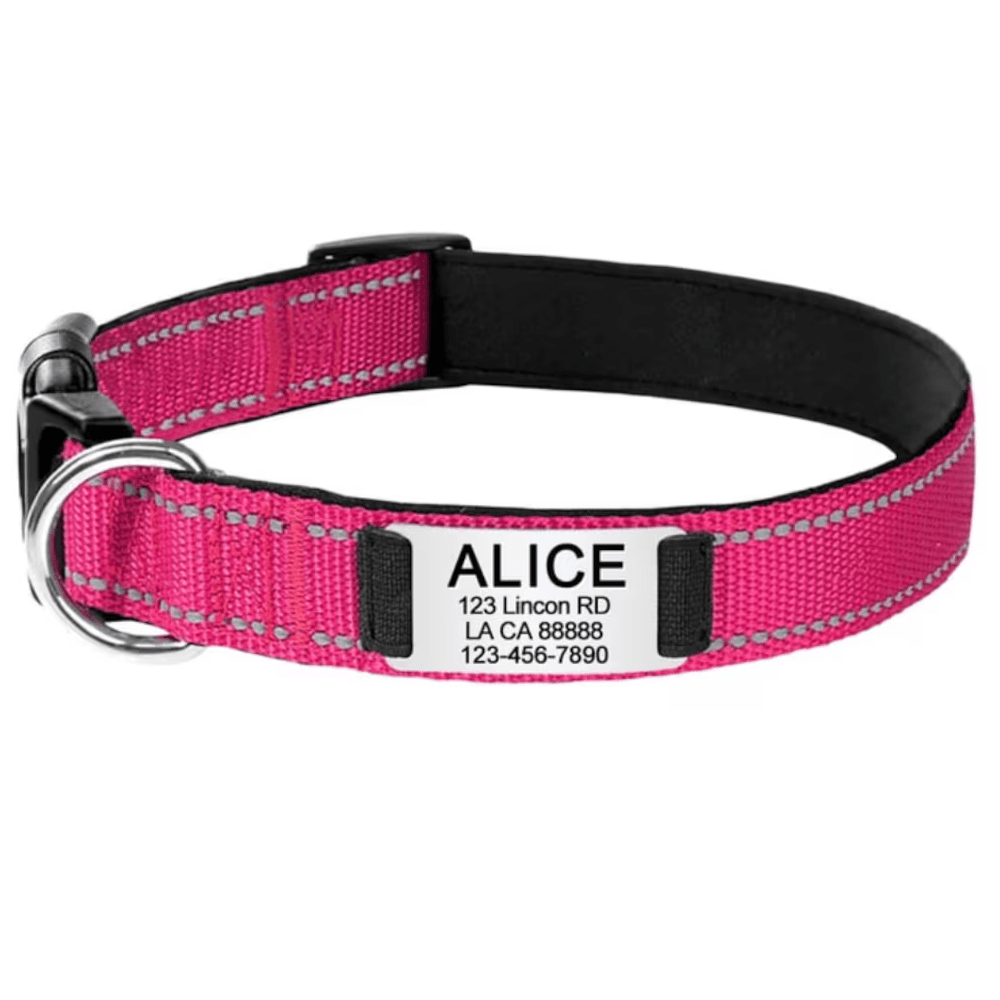 Customized Dog Collar with Engraved Nameplate - Personalized Pet Collars