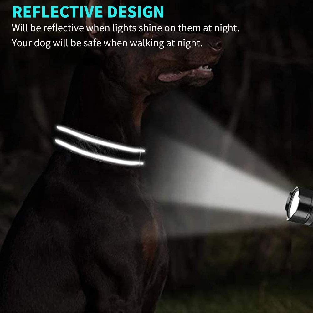 Customized Dog Collar with Engraved Nameplate - Personalized Pet Collars
