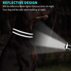 Customized Dog Collar with Engraved Nameplate - Personalized Pet Collars