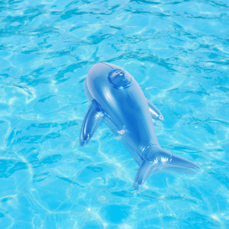Inflatable Dolphin Fish Beach Swimming Pool Toy for Kids