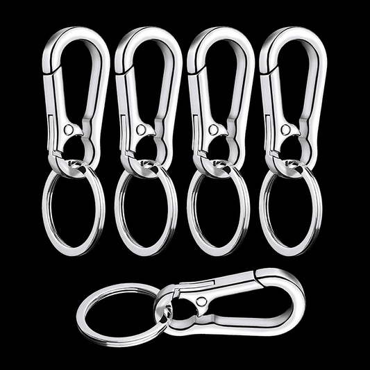 5pcs Stainless Steel Carabiner Keychain Key Clip for Men