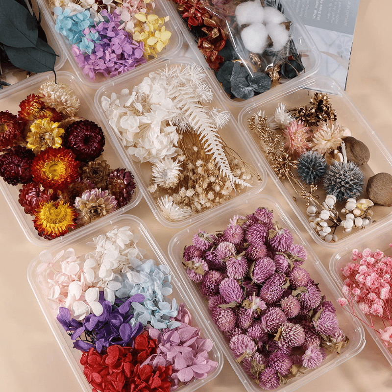 Real Dried Flower Resin Mold Fillings UV Epoxy Jewelry Craft DIY Supplies