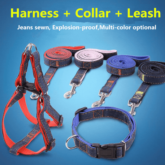 Cowboy Dog Traction Leash & Chest Strap