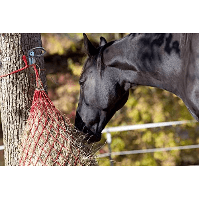4 pack Horse Feed Bucket Hook Water Bucket Holder Stall Stable Supplies