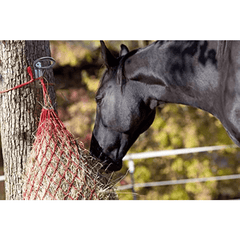 4 pack Horse Feed Bucket Hook Water Bucket Holder Stall Stable Supplies