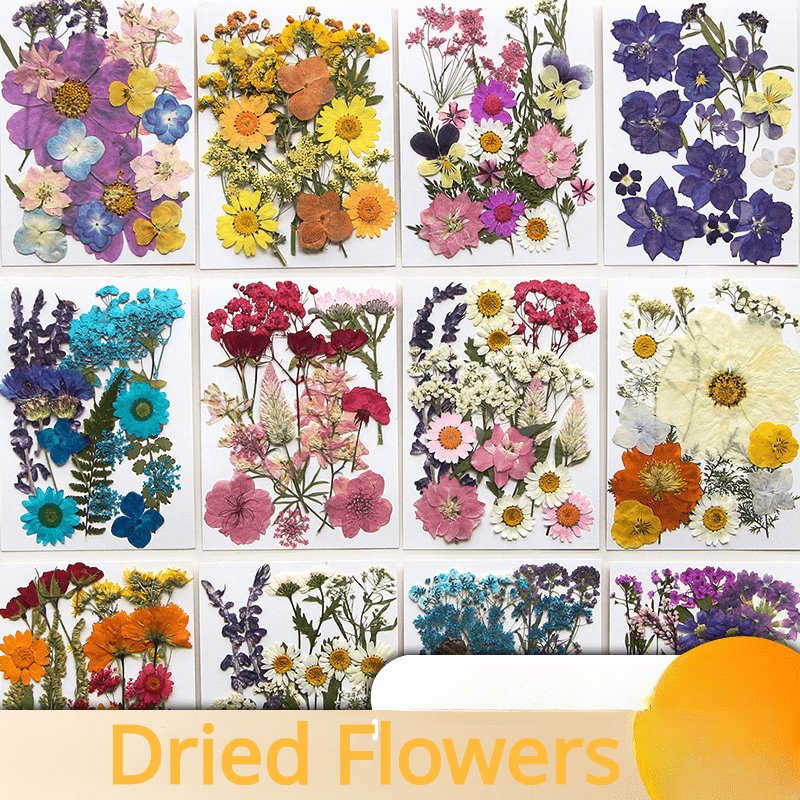 DIY Pressed Flowers Kit - Create Unique Crafts with 19pcs Dried Flowers