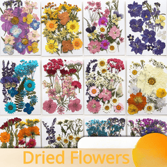 DIY Pressed Flowers Kit - Create Unique Crafts with 19pcs Dried Flowers