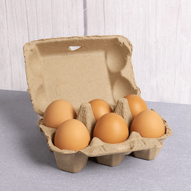 6 Pack/120pcs Egg Packaging Box, Eco-Friendly Pulp Material Egg Holder Storage