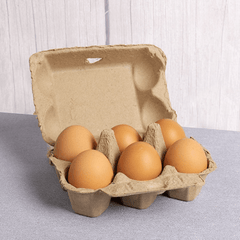 6 Pack/120pcs Egg Packaging Box, Eco-Friendly Pulp Material Egg Holder Storage