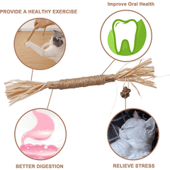 Natural Silvervine Sticks Cat Chew Toy For Kittens Dental Care