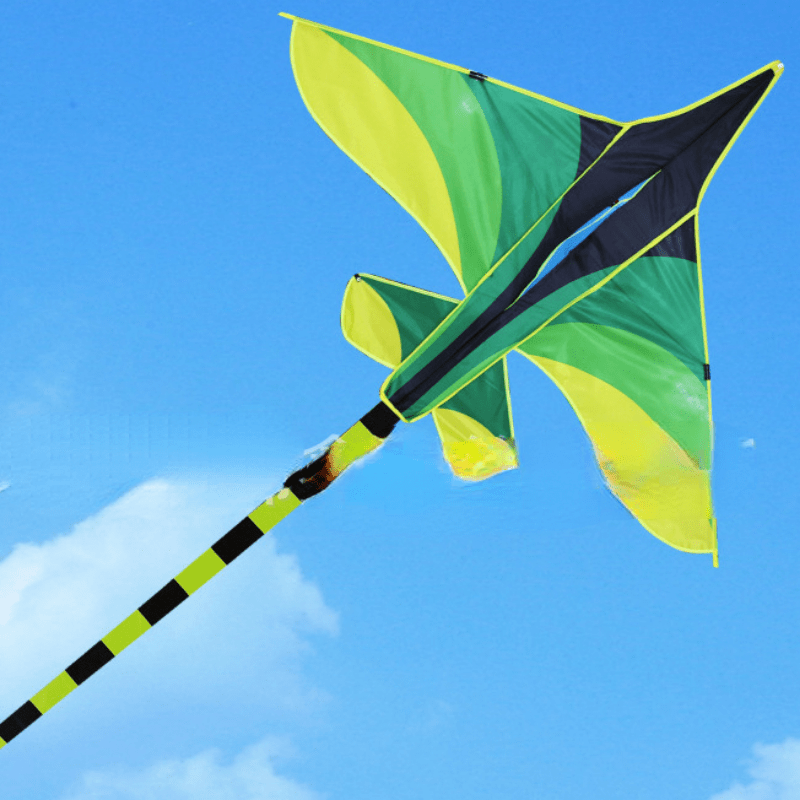 Kids Triangular Kite: Easy To Fly Outdoor Toy