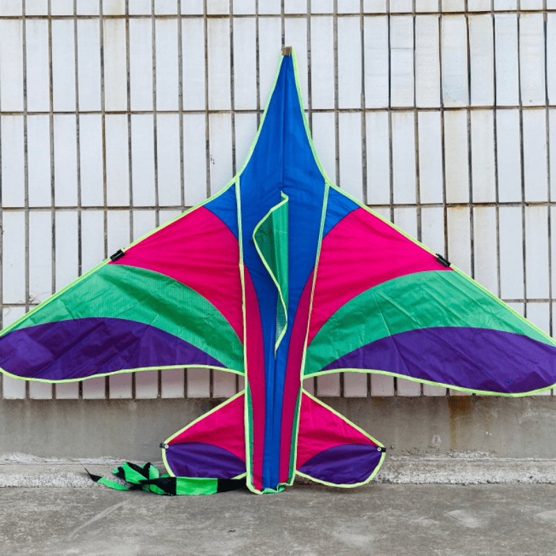 Kids Triangular Kite: Easy To Fly Outdoor Toy